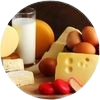 Healthwise animal products icon