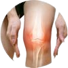 Healthwise-Bones and joints icon